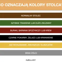Kolory stolca: brązowy to normalny, zielony to szybkie trawienie, czerwony to buraki/krew, czarny to żelazo/krwawienie, żółty to złe wchłanianie, szary to brak żółci.