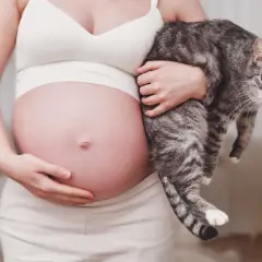 Ciężarna kobieta trzyma kota. Należy pamiętać o profilaktyce toksoplazmozy w ciąży.