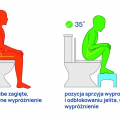 Zła pozycja na toalecie (90°) powoduje obstrukcję jelit. Dobra pozycja (35°) ułatwia wypróżnienie.