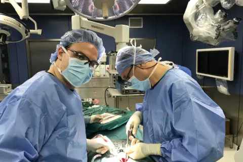 Neurochirurg kto to: Rola, kwalifikacje i znaczenie w medycynie