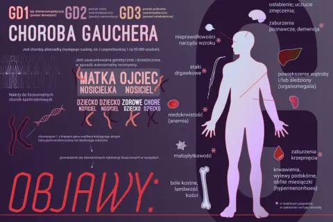Choroba Gauchera: objawy obejmują bóle kostne, powiększenie wątroby i śledziony, niedokrwistość, zaburzenia krzepnięcia, osłabienie i problemy neurologiczne.