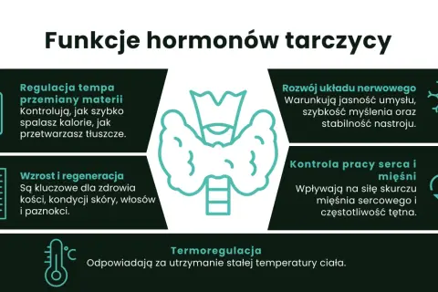 Hormony tarczycy, w tym tyroksyna, regulują metabolizm, rozwój układu nerwowego, wzrost, regenerację, pracę serca i termoregulację.