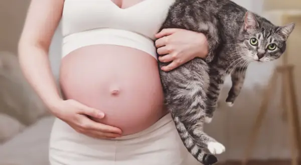 Ciężarna kobieta trzyma kota. Należy pamiętać o profilaktyce toksoplazmozy w ciąży.