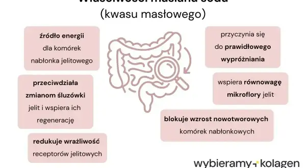 Maślan sodu na co? Właściwości maślanu sodu: źródło energii dla komórek jelit, wspiera wypróżnianie, regeneruje śluzówkę jelit, blokuje wzrost komórek nowotworowych.