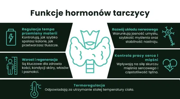 Hormony tarczycy, w tym tyroksyna, regulują metabolizm, rozwój układu nerwowego, wzrost, regenerację, pracę serca i termoregulację.