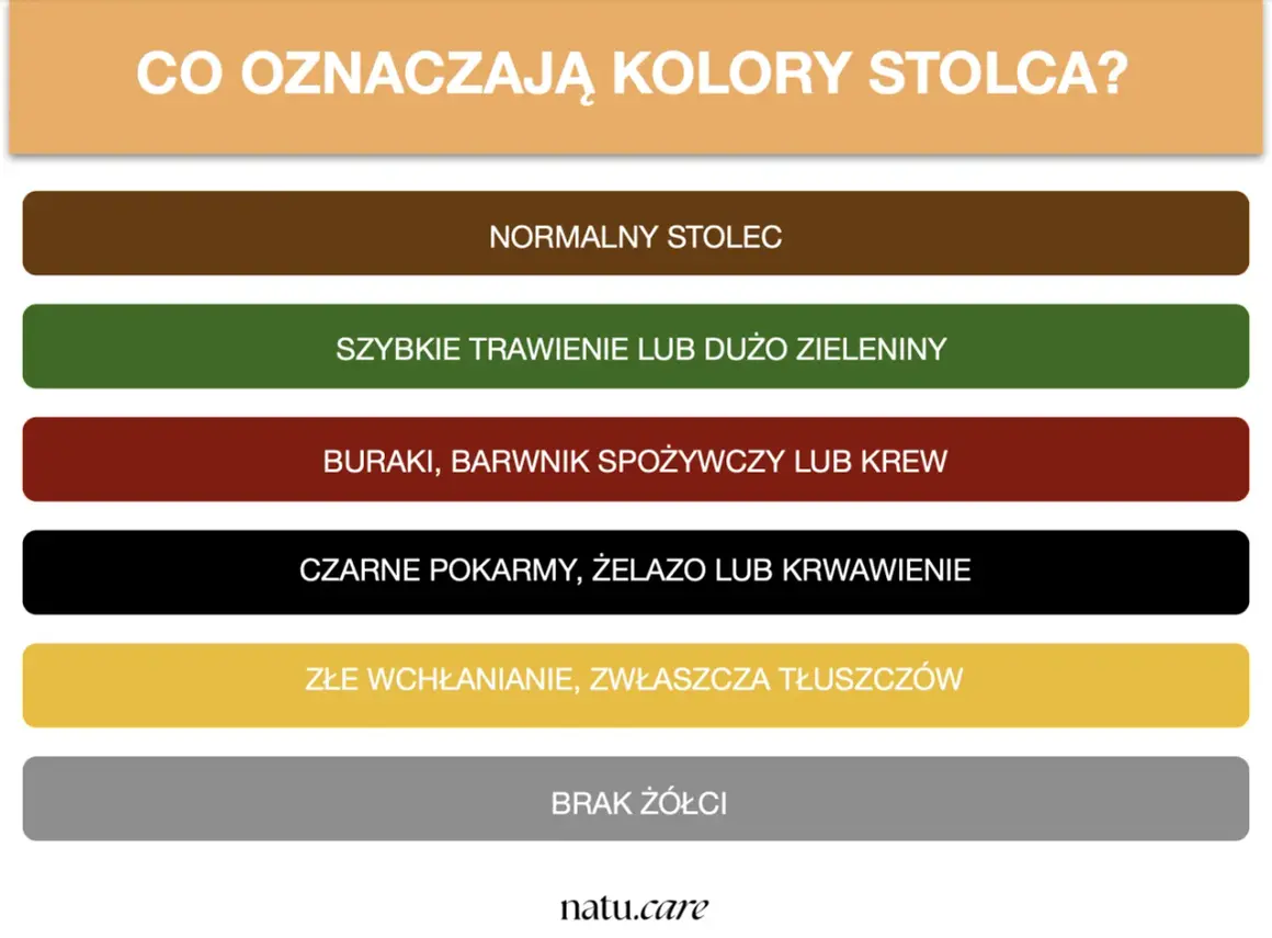 Kolory stolca: brązowy to normalny, zielony to szybkie trawienie, czerwony to buraki/krew, czarny to żelazo/krwawienie, żółty to złe wchłanianie, szary to brak żółci.
