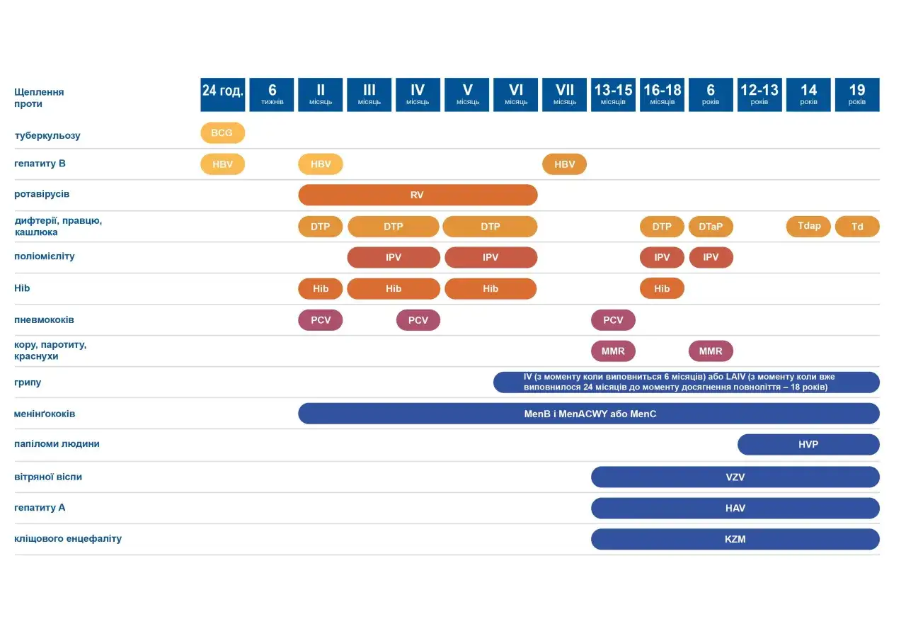 Kalendarz szczepień: DTP, Hib, IPV, MMR, HBV, RV, PCV, VZV, HAV, HVP, KZM, Tdap, Td.