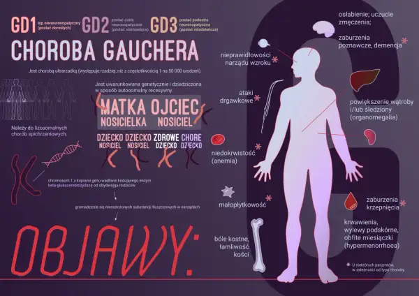 Choroba Gauchera: objawy obejmują bóle kostne, powiększenie wątroby i śledziony, niedokrwistość, zaburzenia krzepnięcia, osłabienie i problemy neurologiczne.