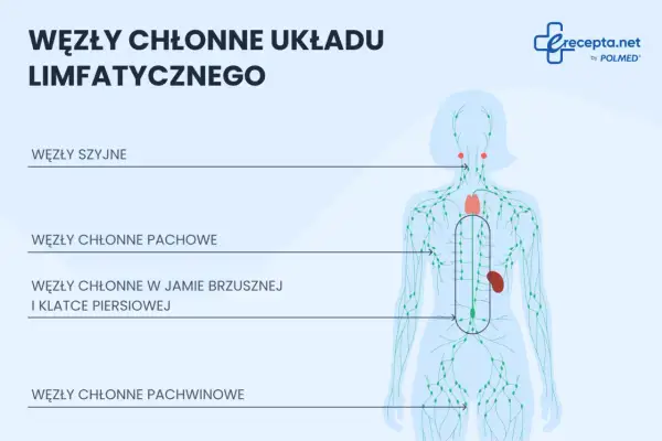 Schemat układu limfatycznego z zaznaczonymi węzłami chłonnymi: szyjnymi, pachowymi, w jamie brzusznej i klatce piersiowej, oraz pachwinowymi.