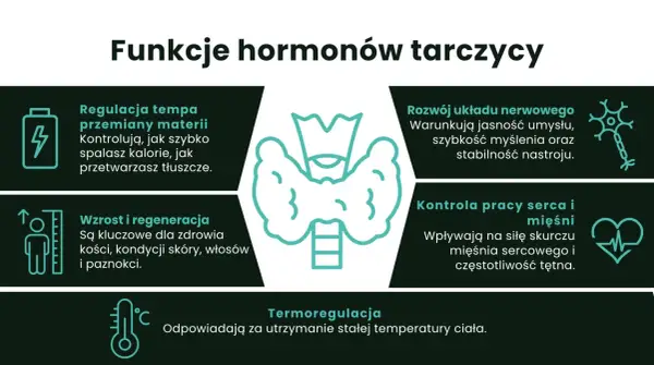 Hormony tarczycy, w tym tyroksyna, regulują metabolizm, rozwój układu nerwowego, wzrost, regenerację, pracę serca i termoregulację.